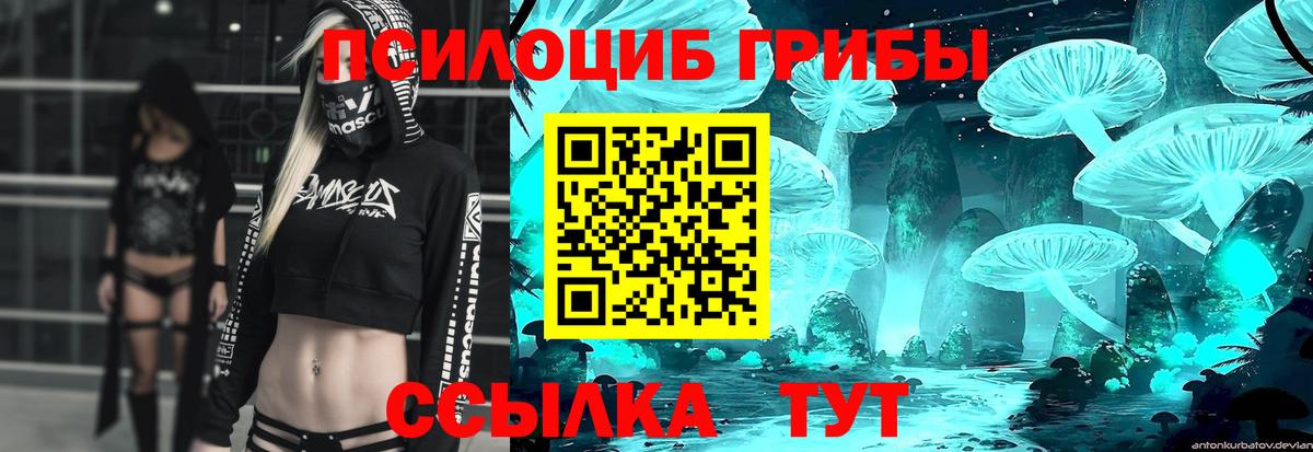 где найти   Псилоцибиновые грибы Psilocybe  Вход с VPN  Грязи 